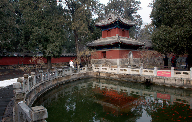 DSC_7812.jpg