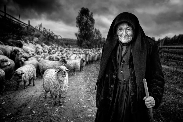 Country life V.jpg