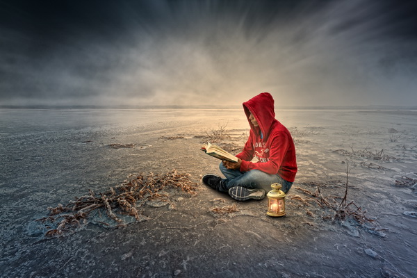 The reader.jpg