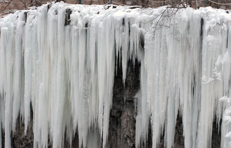 DSC_0986.jpg