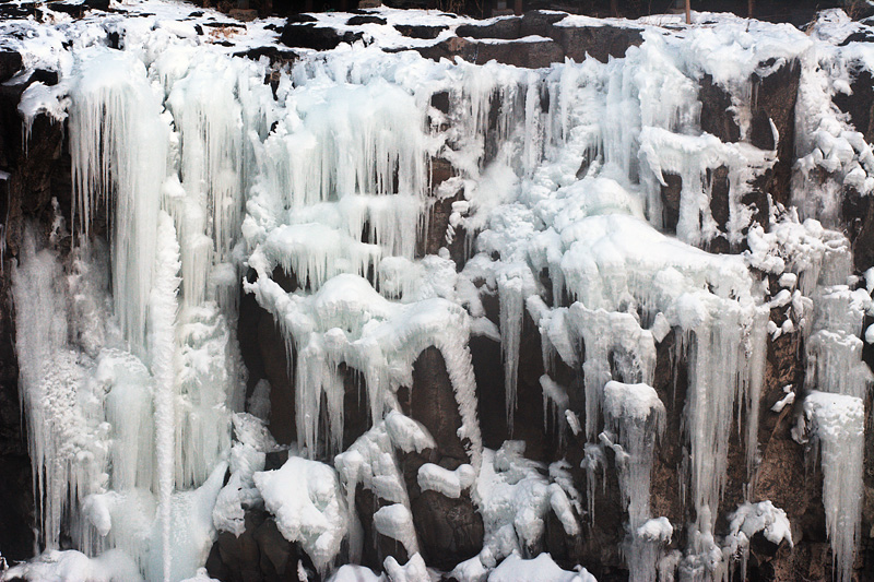 DSC_1016.jpg