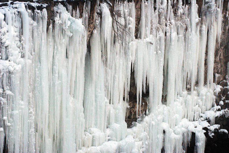DSC_1015.jpg