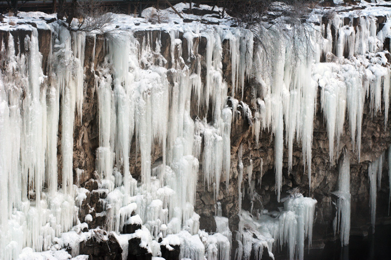 DSC_1017.jpg