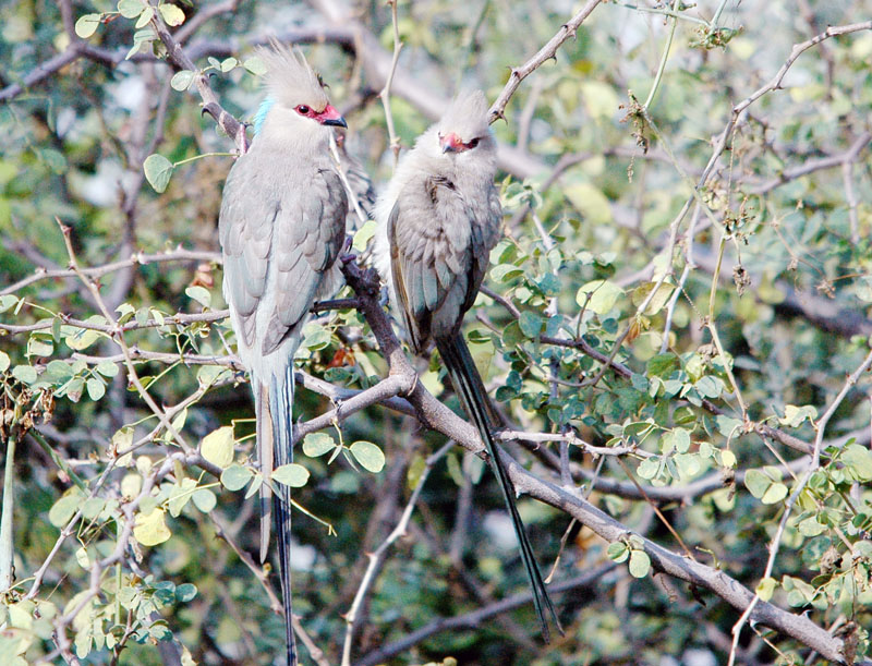 DSC_7945.jpg