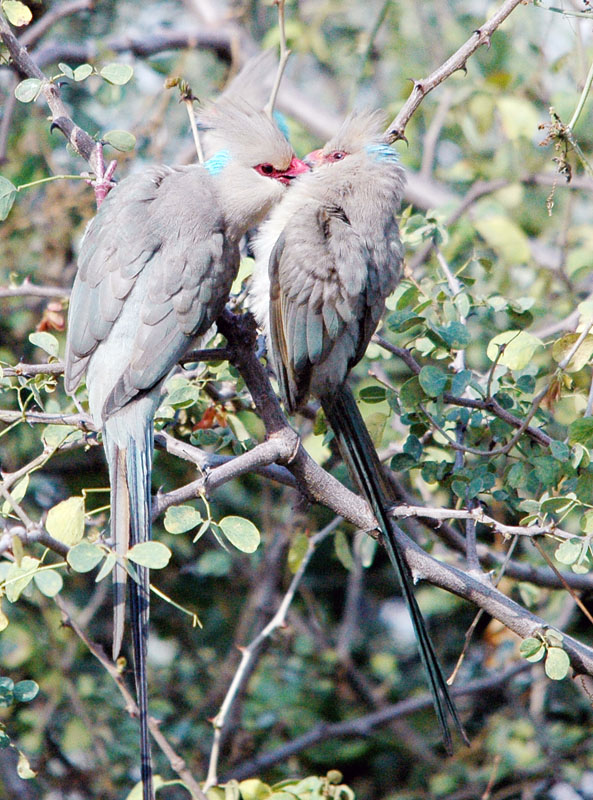DSC_7948.jpg