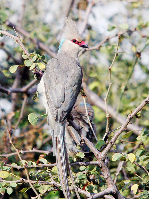DSC_7961.jpg