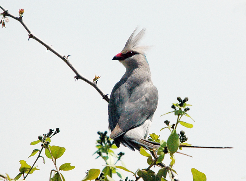 DSC_8075.jpg