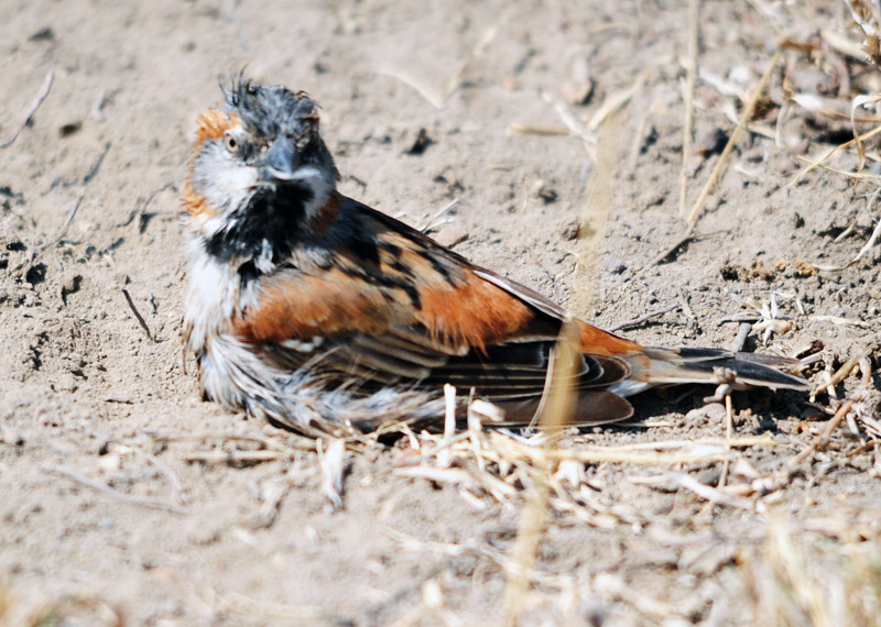 DSC_4903.jpg
