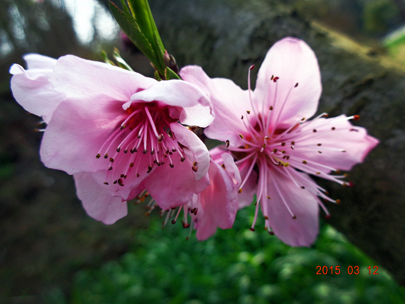 DSC06722 (2)_副本.jpg