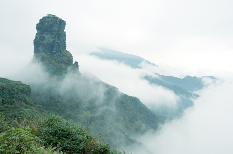 _DSC9500.jpg