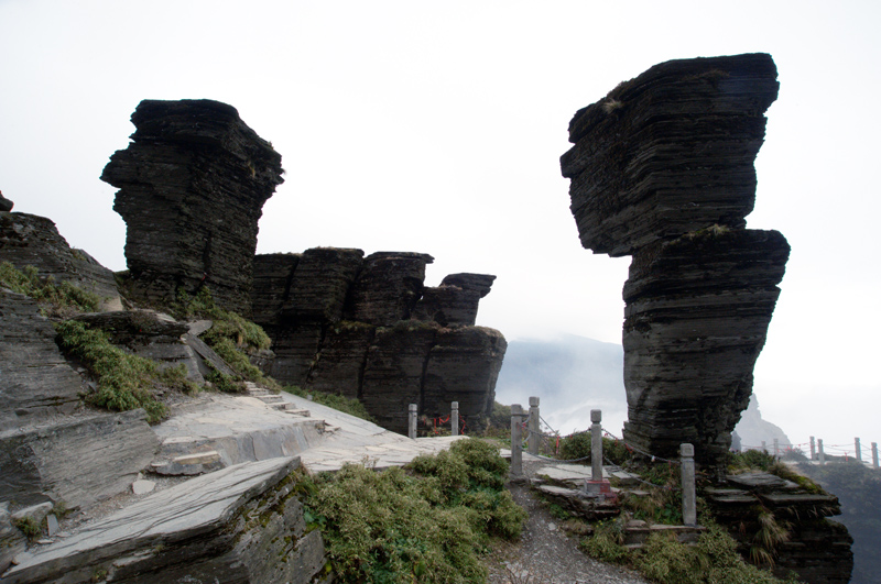 _DSC9521.jpg