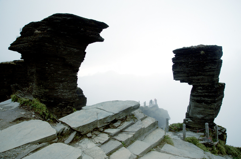 _DSC9526.jpg