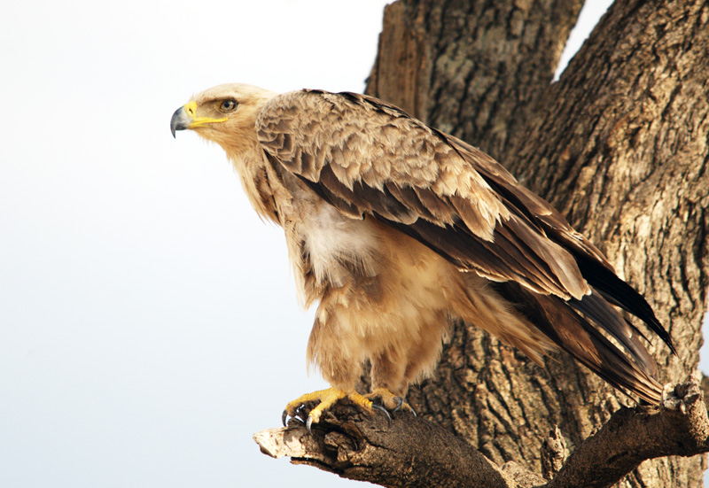 DSC_5041.jpg