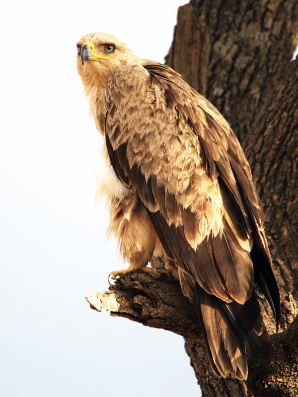 DSC_5052.jpg