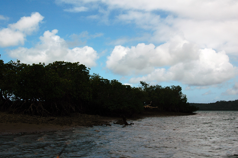 DSC_8772.jpg