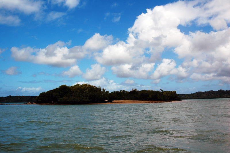 DSC_8777.jpg