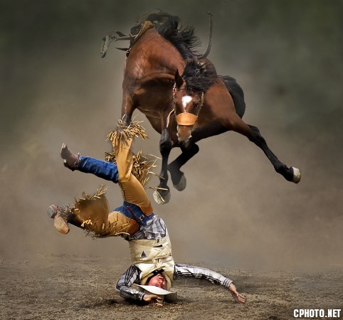 FIAP SILVER MEDAL - BEST SPORT-HORSE IN AIR-Kam Chiu TAM-Canada.jpg