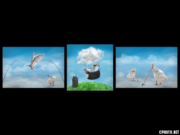 RPS GOLD MEDAL-ABSOLUTELY QUACKERS-Lynne MORRIS-Wales.jpg