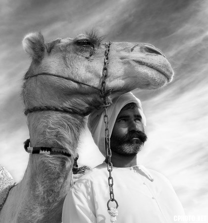 RPS SILVER MEDAL - BEST MONOCHROME-CAMEL 2-Gabor KANOVITS-Slovakia.jpg