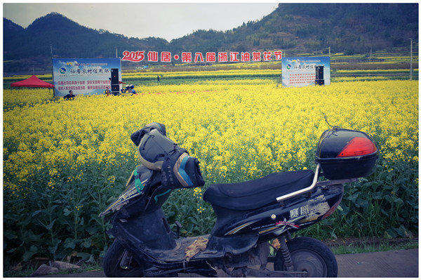 RR004834_副本.jpg