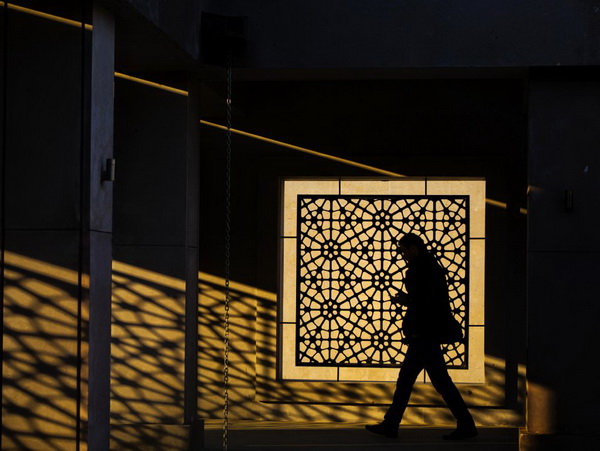 UPI Gold Medal (Open)  Selnur Okudan  TürkiyeTurkey  TRsoO3_the_silhouette.jpg