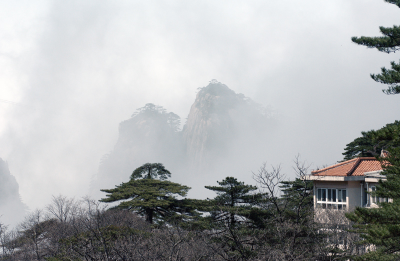 DSC_4954.jpg