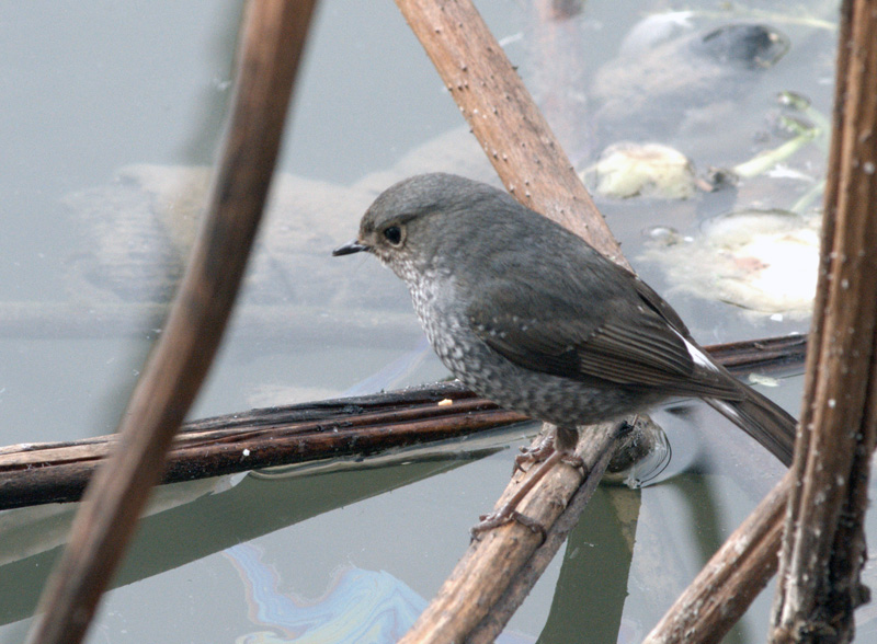 DSC_5119.jpg