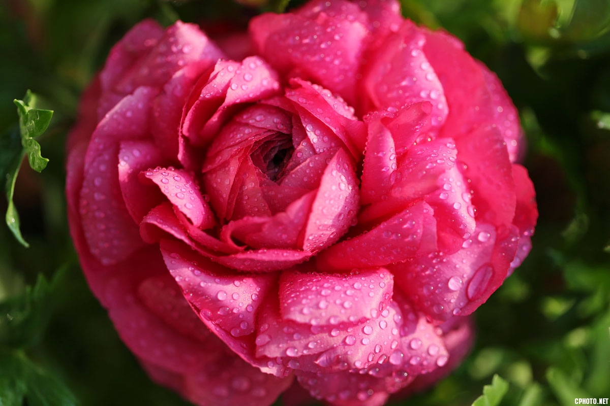 AB8J1390-1.jpg