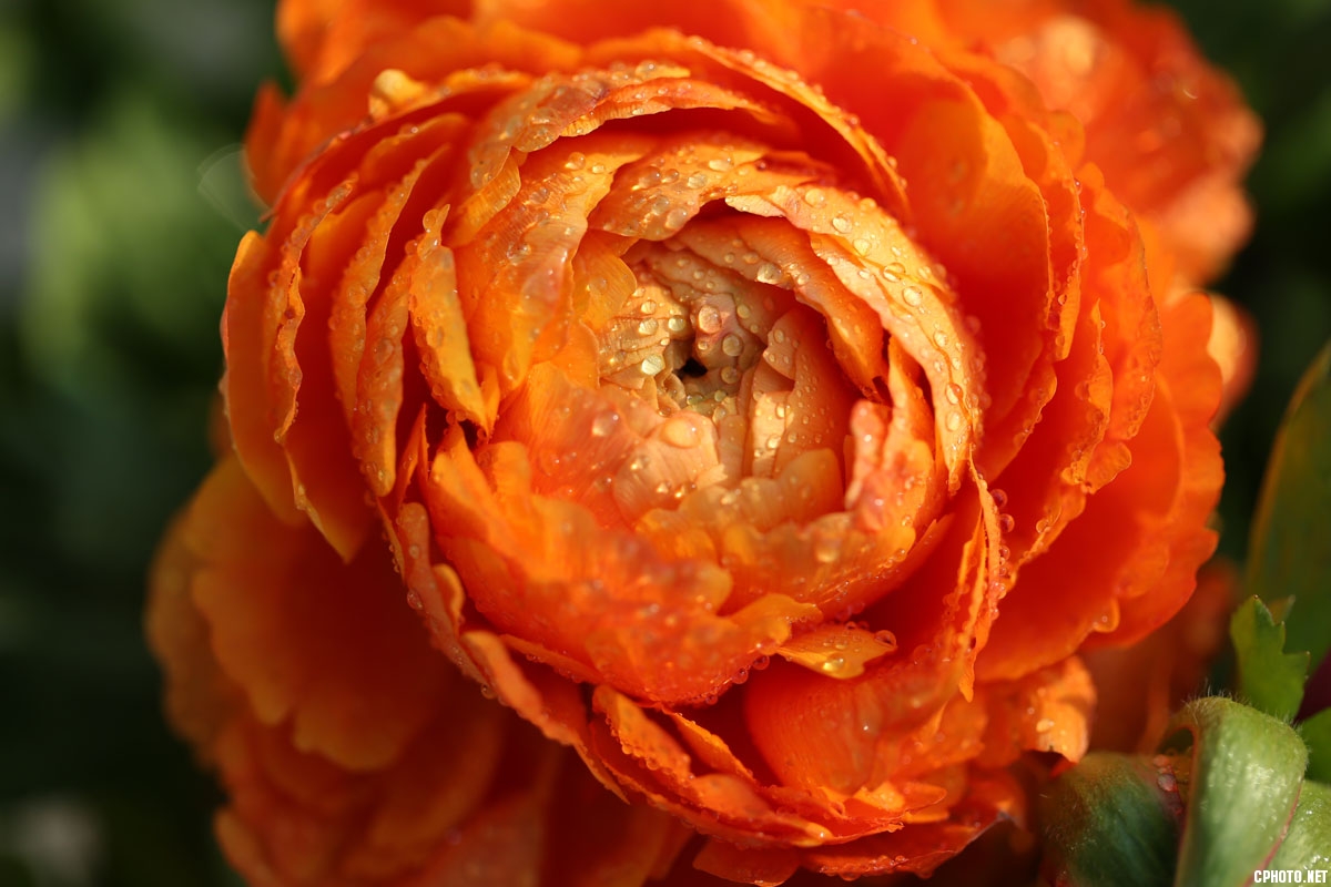 AB8J1398-1.jpg