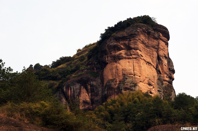 DSC_8325.jpg