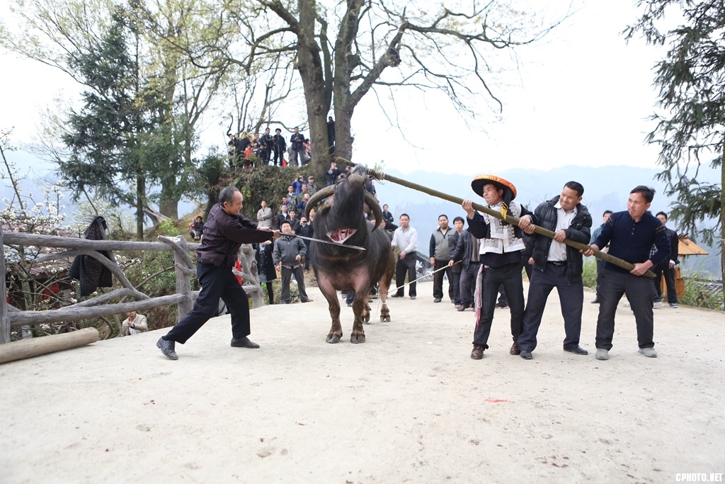 《神秘的苗族二月二招龙祭桥节》 钟传坤摄 (16).jpg