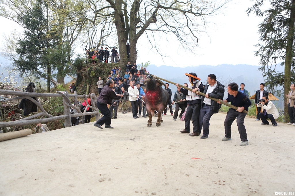 《神秘的苗族二月二招龙祭桥节》 钟传坤摄 (17).jpg
