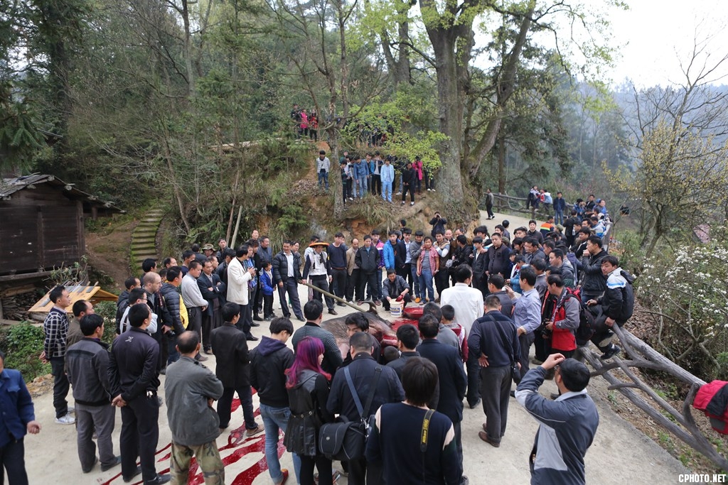 《神秘的苗族二月二招龙祭桥节》 钟传坤摄 (18).jpg