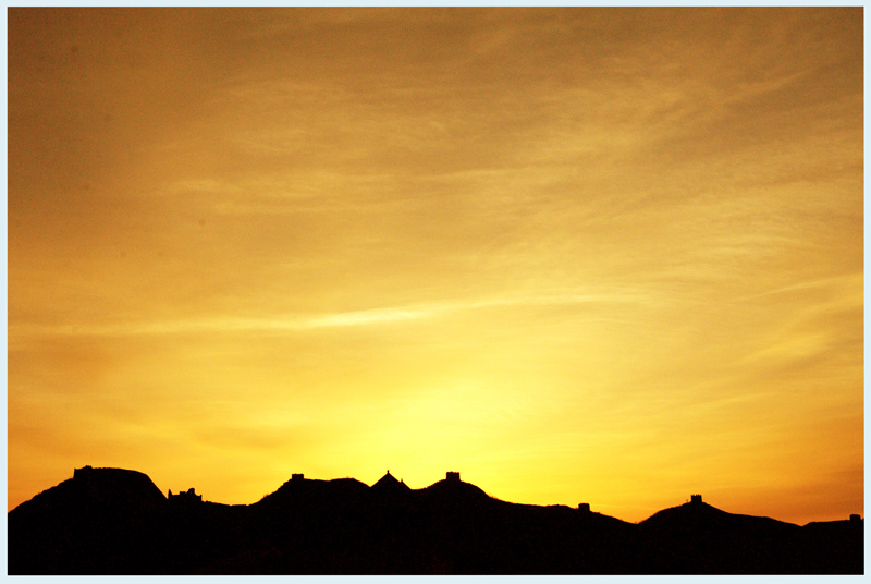 DSC_0446.jpg