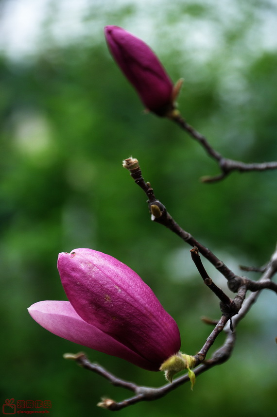 DSC_0802.jpg