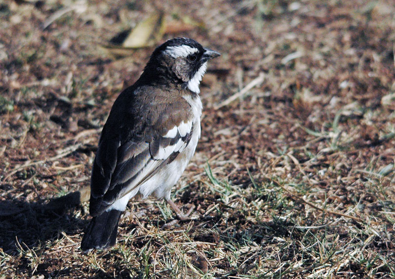 DSC_5504.jpg