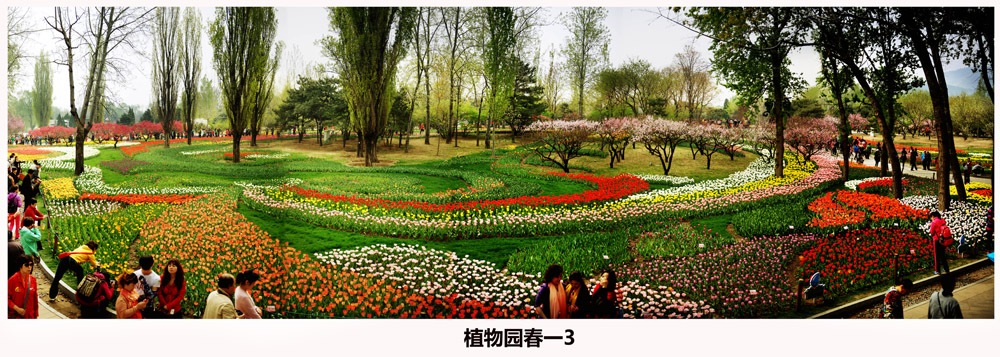 植物园春一3.jpg