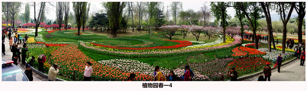 植物园春一4.jpg