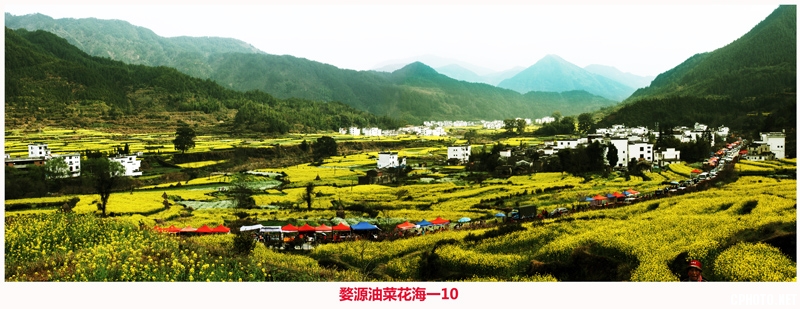 婺源油菜花海一10.jpg
