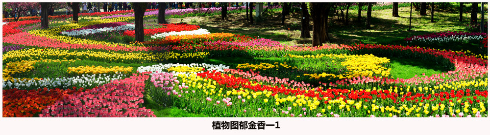 未标题-1.jpg