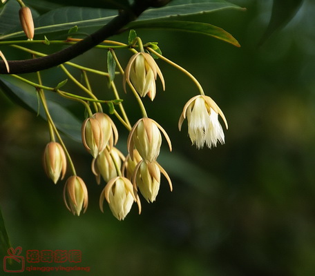 DSC_2563.jpg