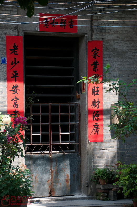 DSC_2464.jpg