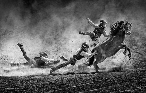 Man-Kui, Wisely NG Pony Ride Hong Kong SH Gold medal.jpg