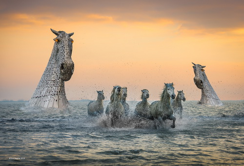 Eric Begbie Escape from the Kelpies Scotland SH Gold medal.jpg