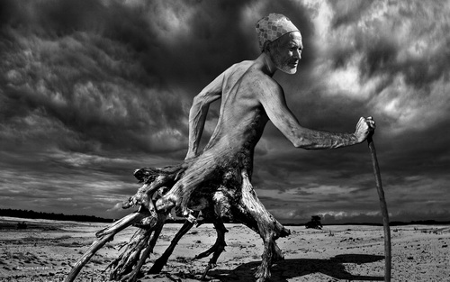 Io Kuong Leong Old Tree Man Macao RPS Silver medal.jpg