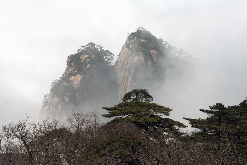 DSC_4956.jpg