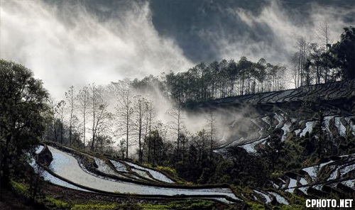 ROTARY铜牌-《Rice Fields Mountains In The Mist》-CHAN DANY-加拿大.jpg