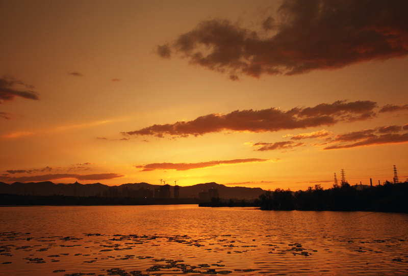 DSC_4106.jpg