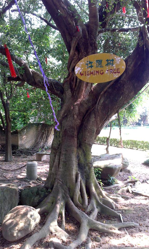 1.许愿树.jpg