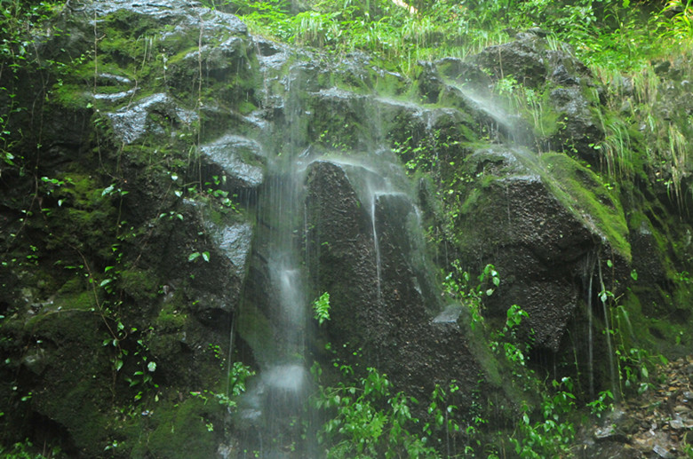 DSC_5014_副本.jpg